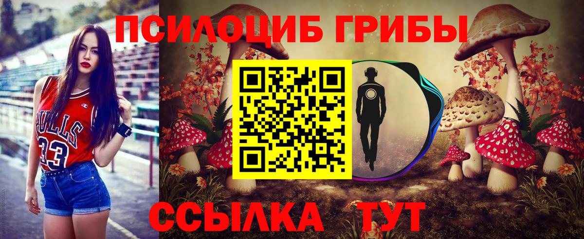 Оренбург  Псилоцибиновые грибы Magic Shrooms  Вход с VPN 